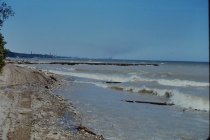 View north along the beach